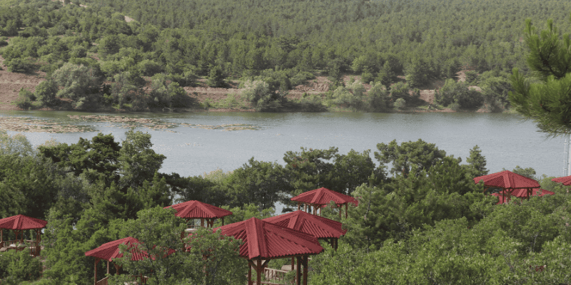 Musaözü Tabiat Parkı