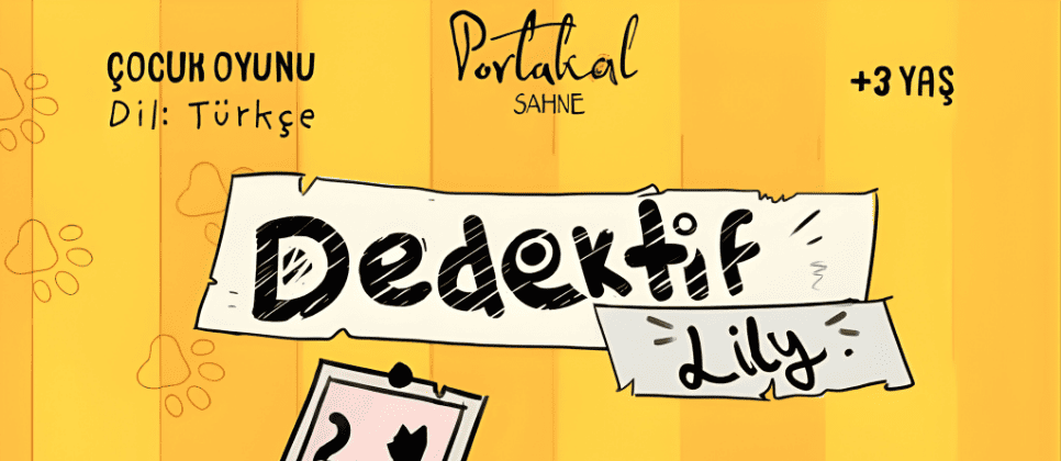Dedektif Lily Türkçe Çocuk Oyunu